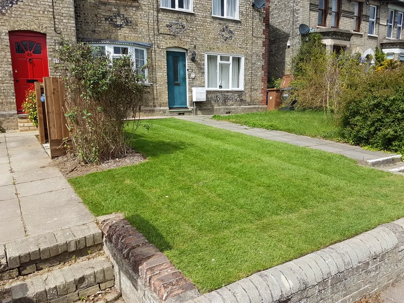 Eco-friendly lawn care services in Suffolk